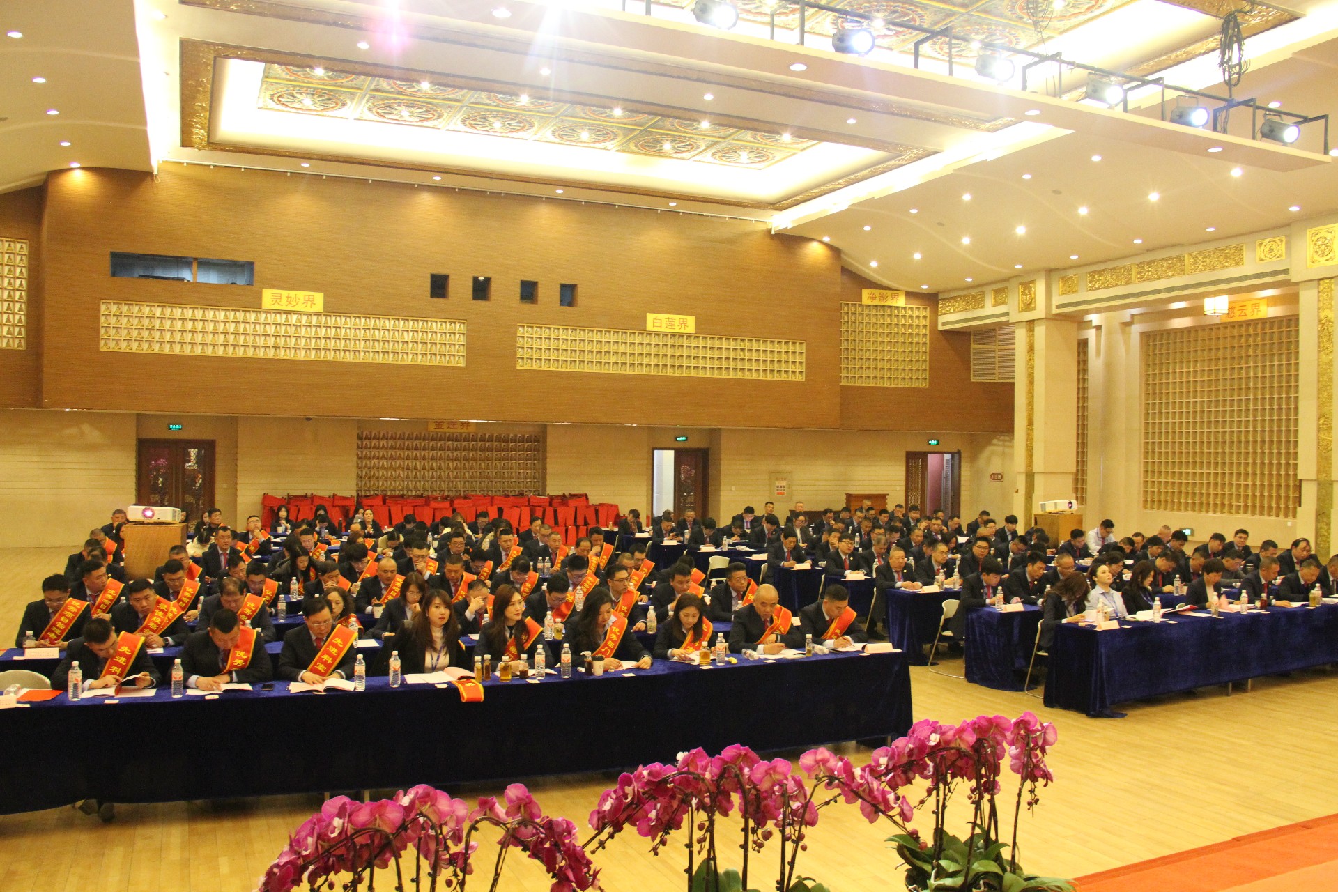 1773711930637622.jpg 1773711930637622.jpg